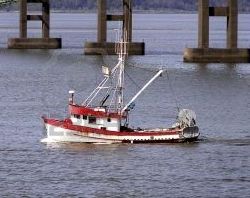 Frigate Marine Surveys
